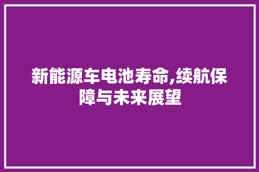 新能源车电池寿命,续航保障与未来展望 车型评测
