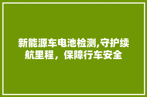 新能源车电池检测,守护续航里程，保障行车安全