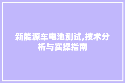 新能源车电池测试,技术分析与实操指南