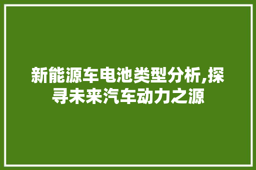 新能源车电池类型分析,探寻未来汽车动力之源