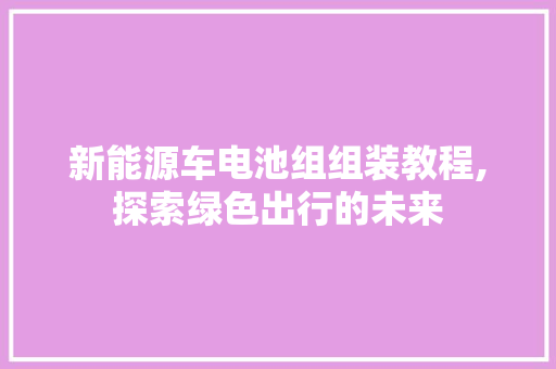 新能源车电池组组装教程,探索绿色出行的未来