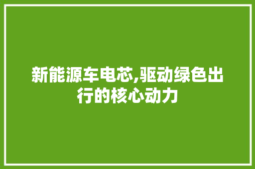 新能源车电芯,驱动绿色出行的核心动力