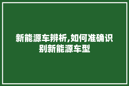 新能源车辨析,如何准确识别新能源车型