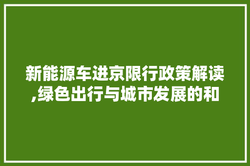 新能源车进京限行政策解读,绿色出行与城市发展的和谐共生