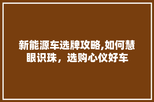 新能源车选牌攻略,如何慧眼识珠，选购心仪好车