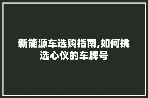 新能源车选购指南,如何挑选心仪的车牌号