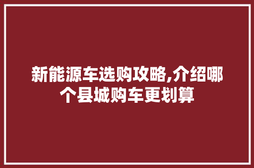 新能源车选购攻略,介绍哪个县城购车更划算