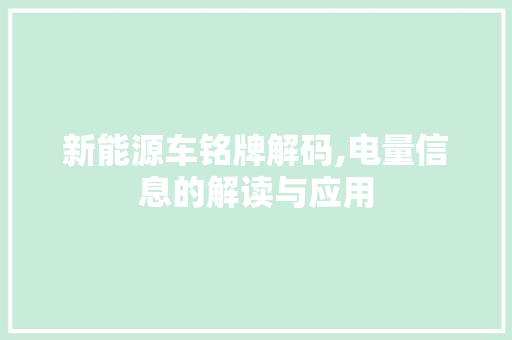 新能源车铭牌解码,电量信息的解读与应用