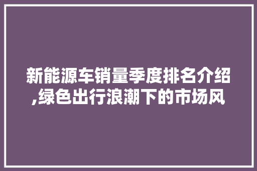 新能源车销量季度排名介绍,绿色出行浪潮下的市场风向标 新车资讯
