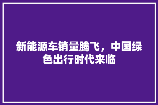 新能源车销量腾飞，中国绿色出行时代来临