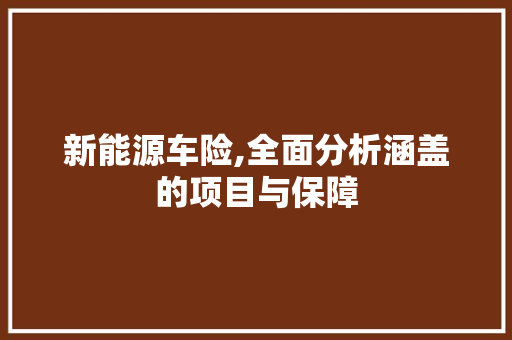 新能源车险,全面分析涵盖的项目与保障
