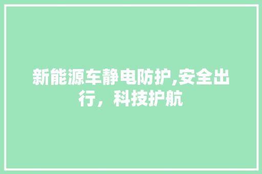 新能源车静电防护,安全出行，科技护航