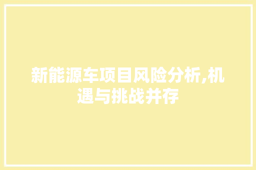 新能源车项目风险分析,机遇与挑战并存