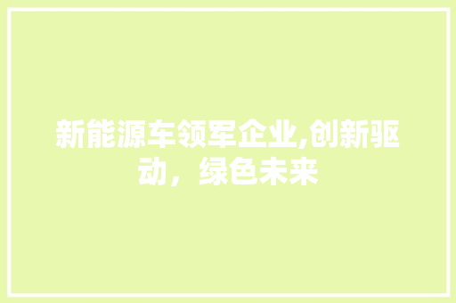 新能源车领军企业,创新驱动，绿色未来