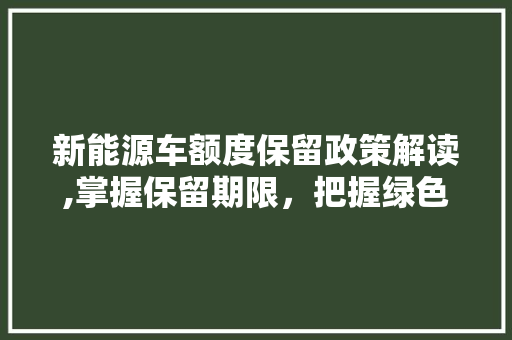 新能源车额度保留政策解读,掌握保留期限，把握绿色出行机遇