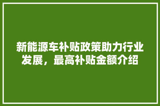 新能源车补贴政策助力行业发展，最高补贴金额介绍