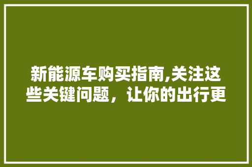 新能源车购买指南,关注这些关键问题，让你的出行更加绿色环保 车载导航