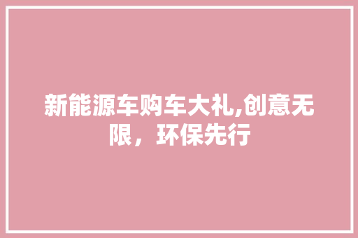 新能源车购车大礼,创意无限，环保先行