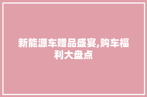 新能源车赠品盛宴,购车福利大盘点