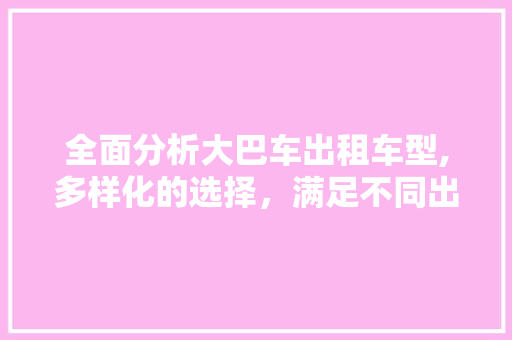 全面分析大巴车出租车型,多样化的选择，满足不同出行需求