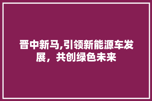 晋中新马,引领新能源车发展，共创绿色未来