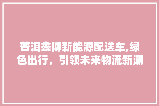 普洱鑫博新能源配送车,绿色出行，引领未来物流新潮流