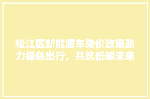 松江区新能源车降价政策助力绿色出行，共筑低碳未来 智能驾驶