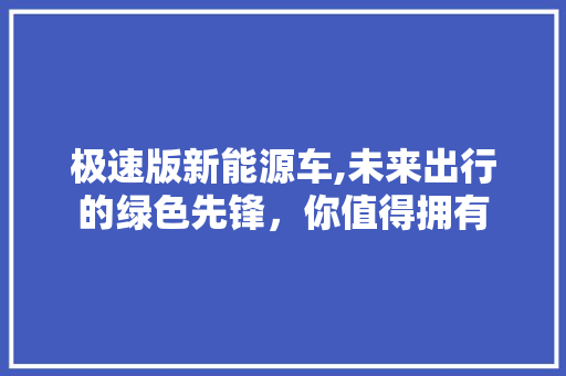 极速版新能源车,未来出行的绿色先锋，你值得拥有
