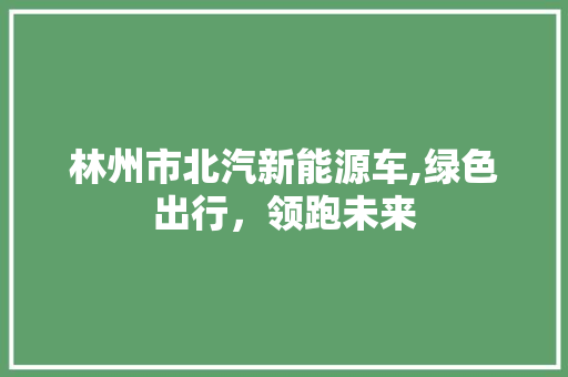 林州市北汽新能源车,绿色出行，领跑未来