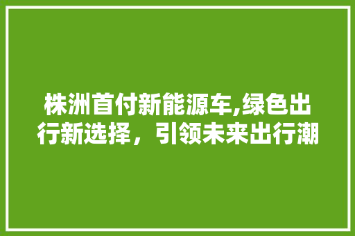株洲首付新能源车,绿色出行新选择，引领未来出行潮流