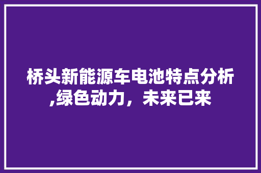 桥头新能源车电池特点分析,绿色动力，未来已来 车载导航