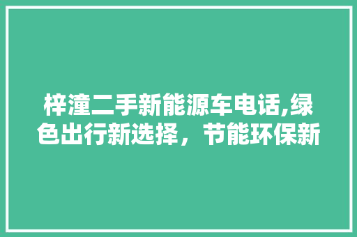 梓潼二手新能源车电话,绿色出行新选择，节能环保新风尚 新能源汽车