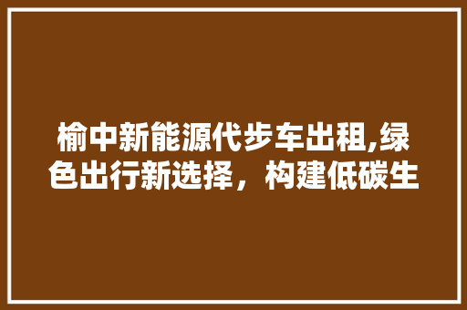 榆中新能源代步车出租,绿色出行新选择，构建低碳生活新风尚