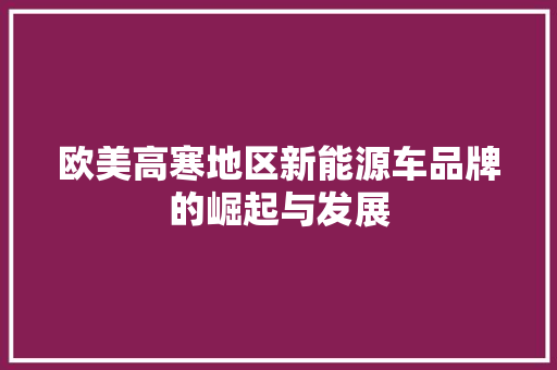 欧美高寒地区新能源车品牌的崛起与发展