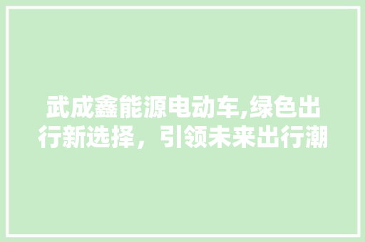 武成鑫能源电动车,绿色出行新选择，引领未来出行潮流