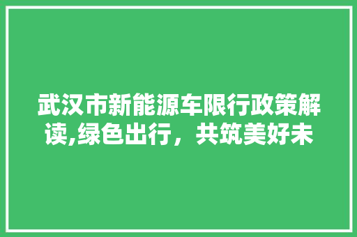 武汉市新能源车限行政策解读,绿色出行，共筑美好未来
