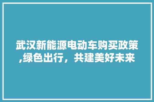 武汉新能源电动车购买政策,绿色出行，共建美好未来