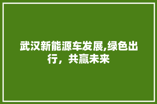 武汉新能源车发展,绿色出行，共赢未来