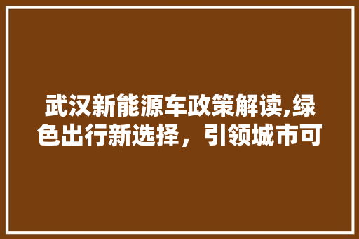 武汉新能源车政策解读,绿色出行新选择，引领城市可持续发展