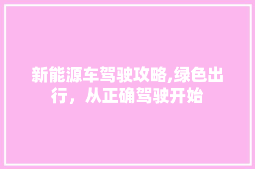 新能源车驾驶攻略,绿色出行，从正确驾驶开始 汽车展览