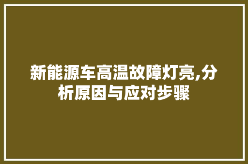 新能源车高温故障灯亮,分析原因与应对步骤