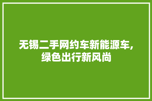 无锡二手网约车新能源车,绿色出行新风尚