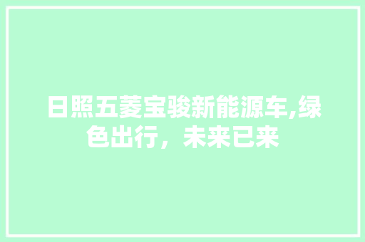 日照五菱宝骏新能源车,绿色出行，未来已来
