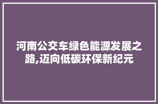 河南公交车绿色能源发展之路,迈向低碳环保新纪元