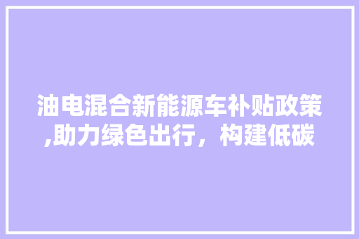 油电混合新能源车补贴政策,助力绿色出行，构建低碳未来