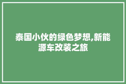 泰国小伙的绿色梦想,新能源车改装之旅