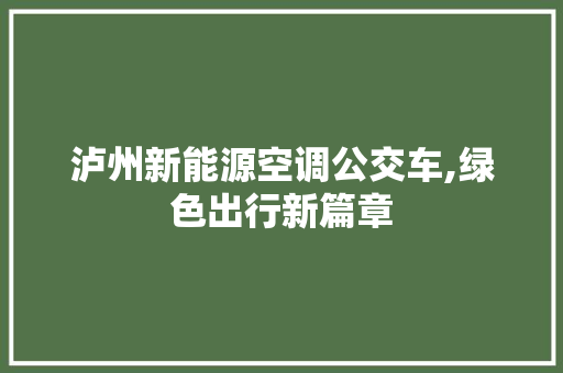 泸州新能源空调公交车,绿色出行新篇章