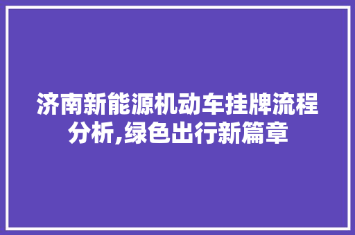 济南新能源机动车挂牌流程分析,绿色出行新篇章