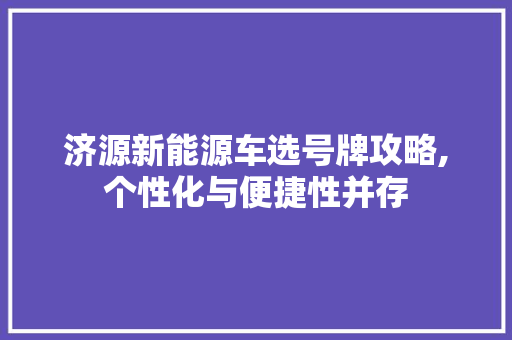 济源新能源车选号牌攻略,个性化与便捷性并存