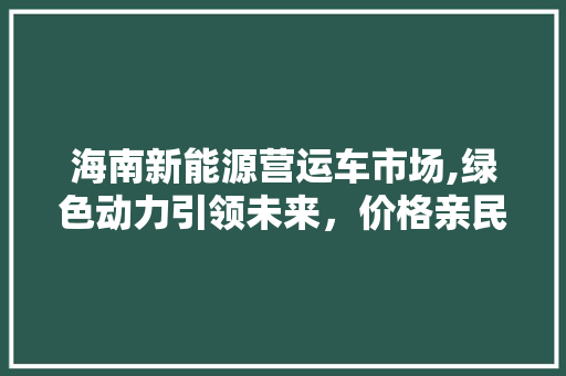 海南新能源营运车市场,绿色动力引领未来，价格亲民助推普及